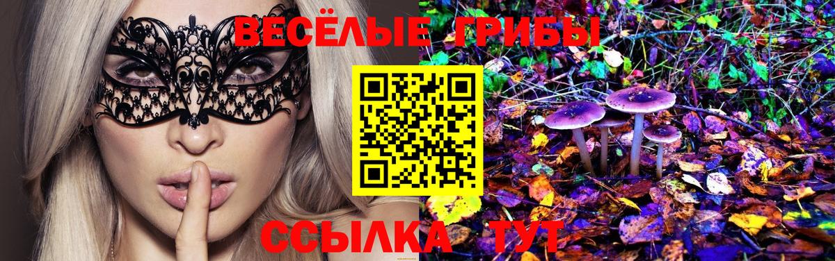Галлюциногенные грибы мухоморы  Вход с VPN  Санкт-Петербург 