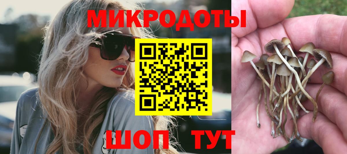 Галлюциногенные грибы Cubensis Санкт-Петербург